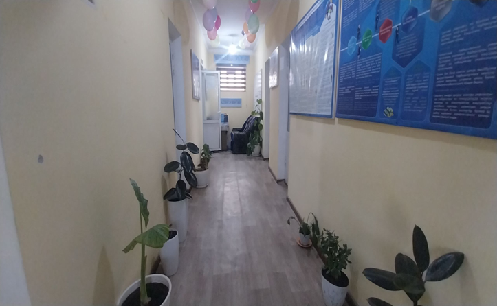 Telov MFY binosi — surat 3