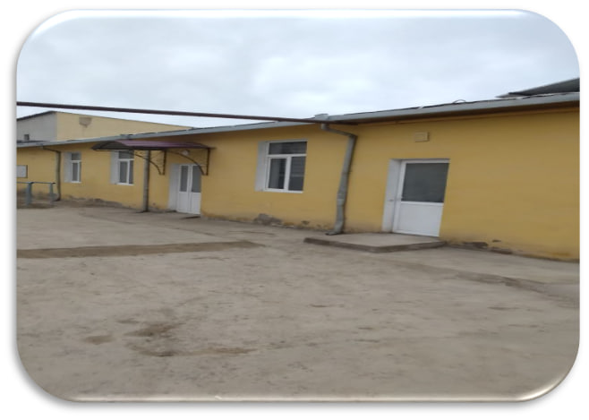 Turkiston MFY binosi — surat 3
