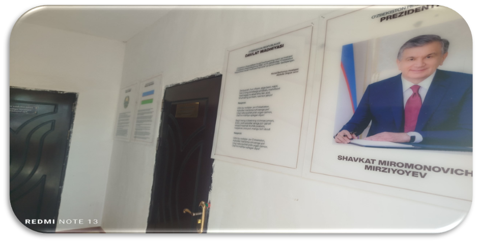 Changir MFY binosi — surat 3
