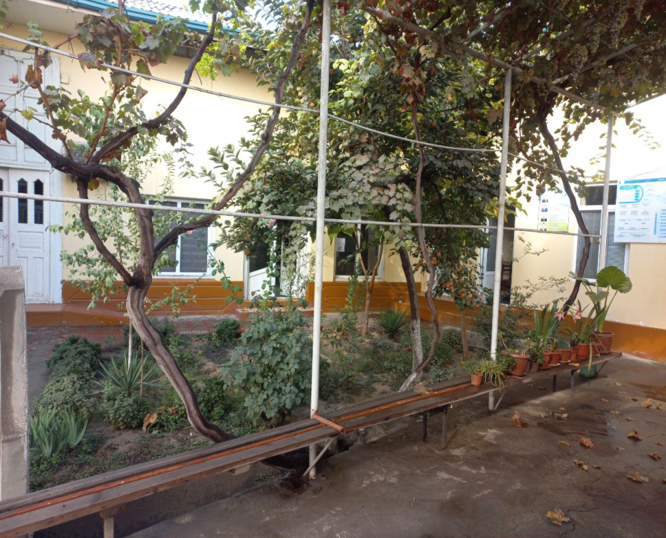 Yangi obod MFY binosi — surat 5