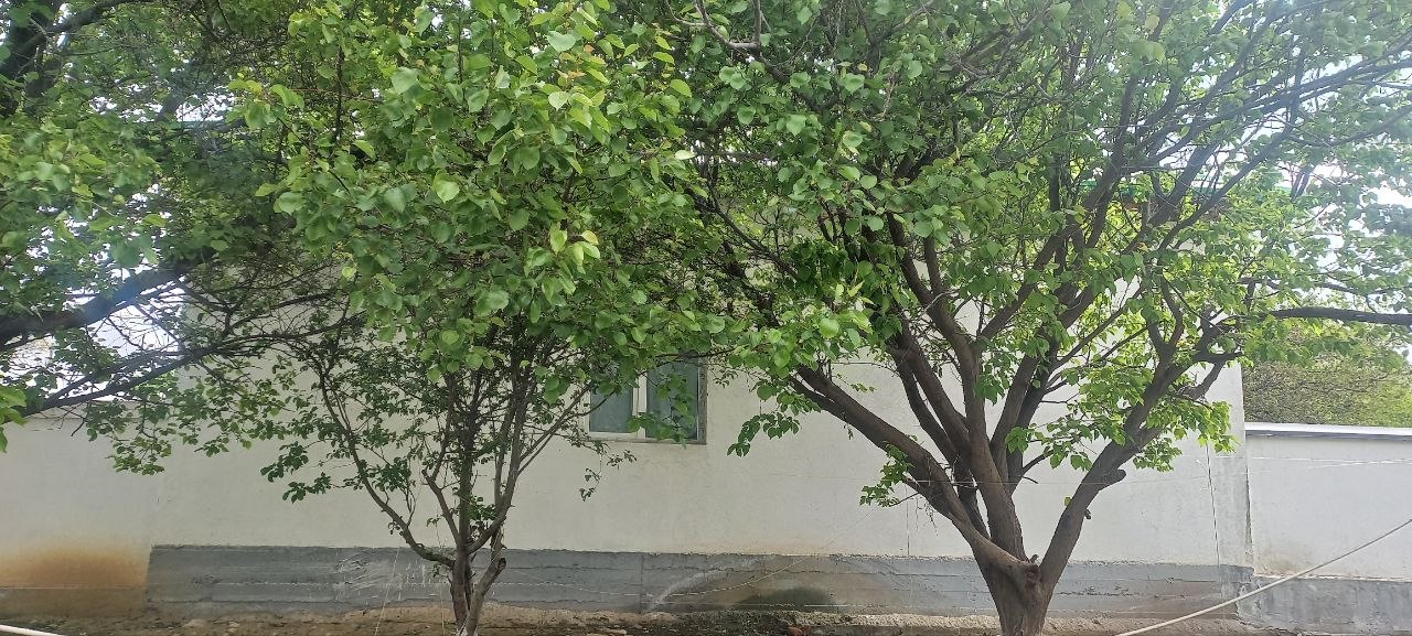 Bunyodkor MFY binosi — surat 3