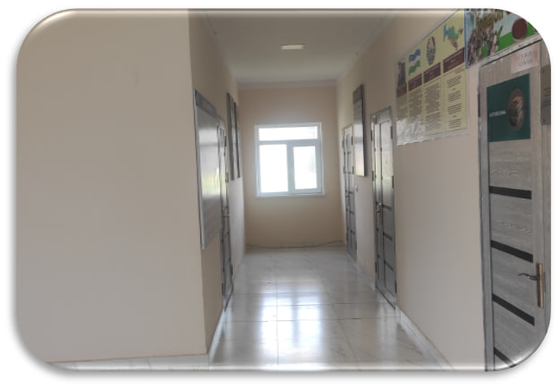 Bunyodkor MFY binosi — surat 7
